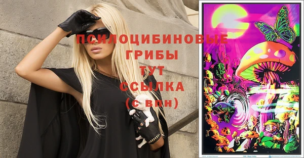 spice Баксан